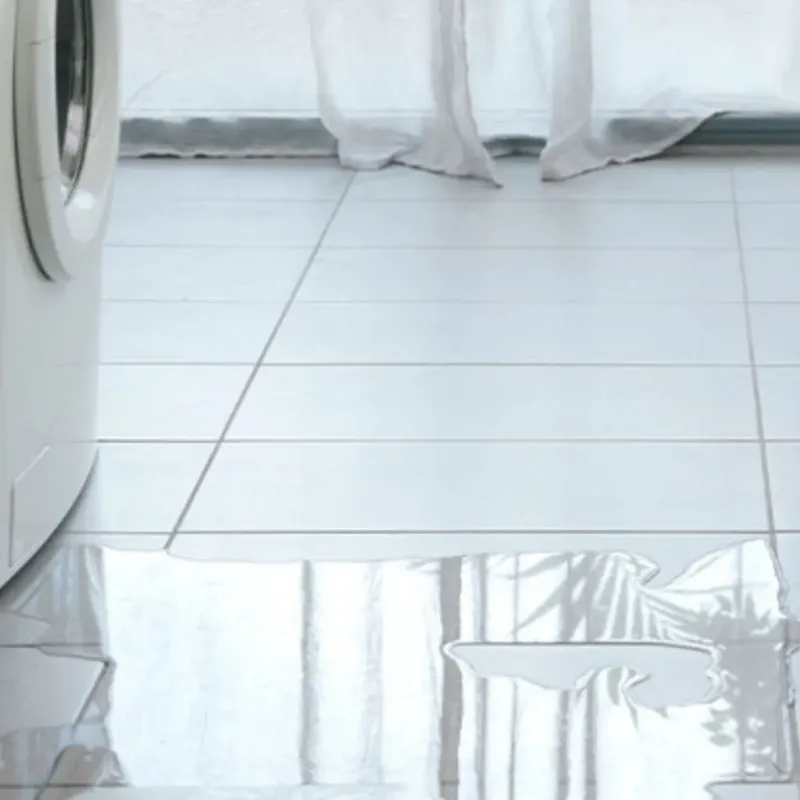 Appliance Leak Cleanup in Richmond, VA