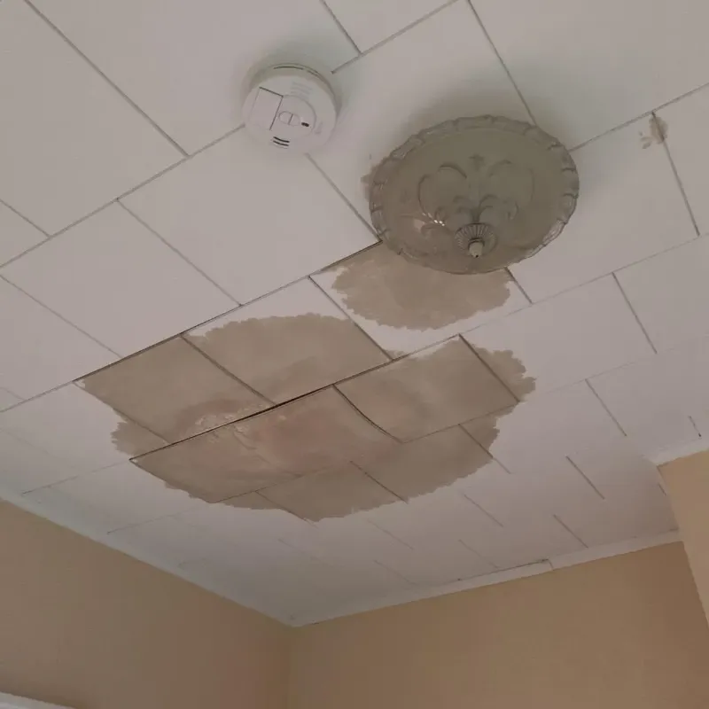Ceiling Water Damage Repair in Richmond, VA