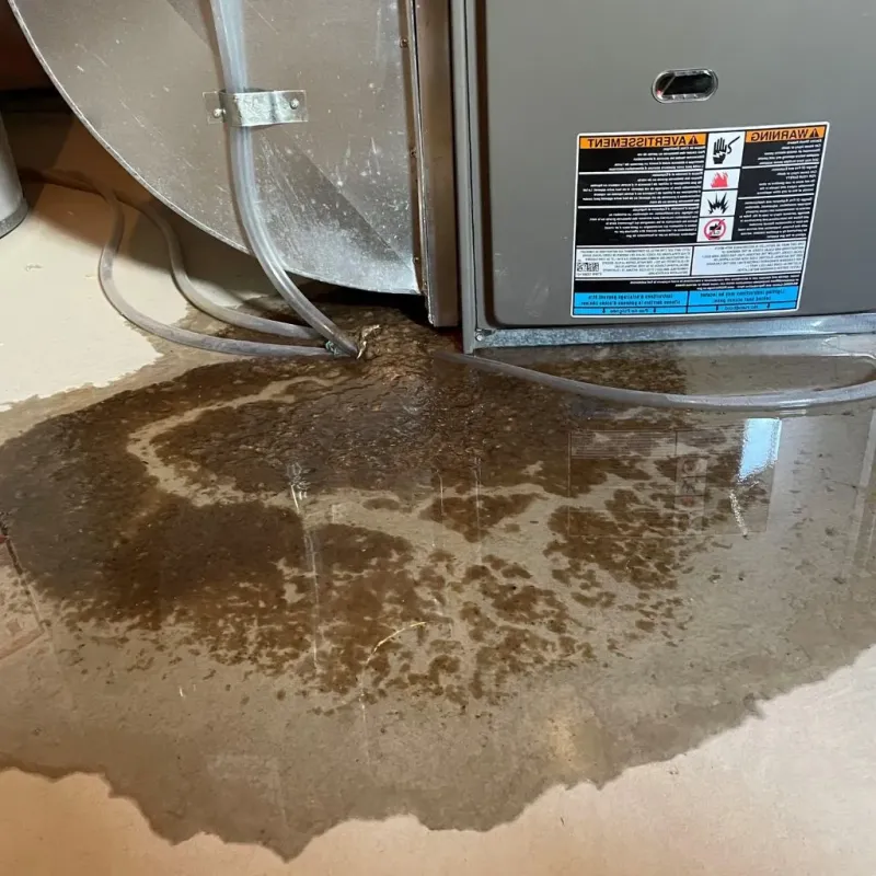 Pipe Burst and Leak Restoration in Richmond, VA
